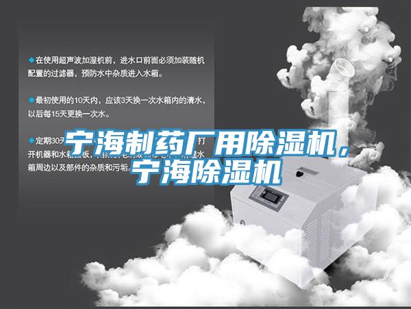 宁海制药厂用91免费网站在线观看，宁海91免费网站在线观看