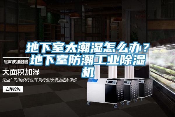 地下室太潮湿怎么办？地下室防潮工业91免费网站在线观看