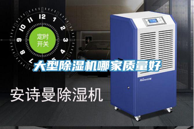 大型91免费网站在线观看哪家质量好