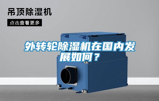 外转轮91免费网站在线观看在国内发展如何？