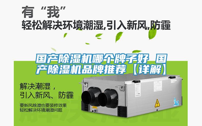 国产91免费网站在线观看哪个牌子好 国产91免费网站在线观看品牌推荐【详解】