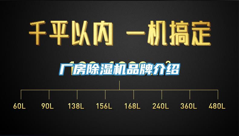 厂房91免费网站在线观看品牌介绍