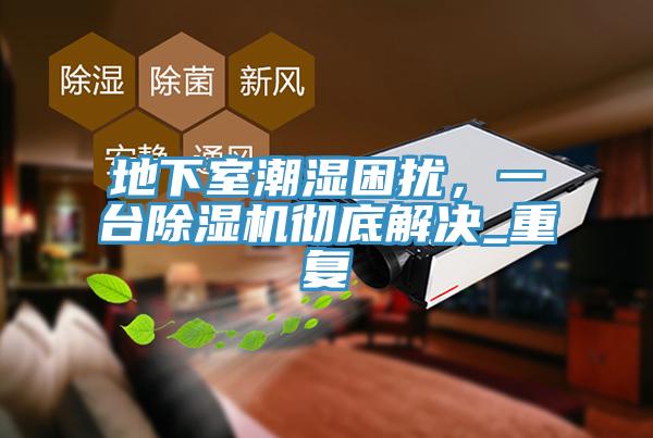 地下室潮湿困扰，一台91免费网站在线观看彻底解决_重复
