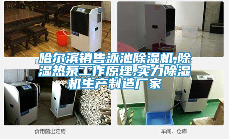哈尔滨销售泳池91免费网站在线观看,除湿热泵工作原理,实力91免费网站在线观看生产制造厂家