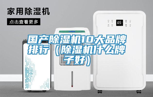 国产91免费网站在线观看10大品牌排行（91免费网站在线观看什么牌子好）