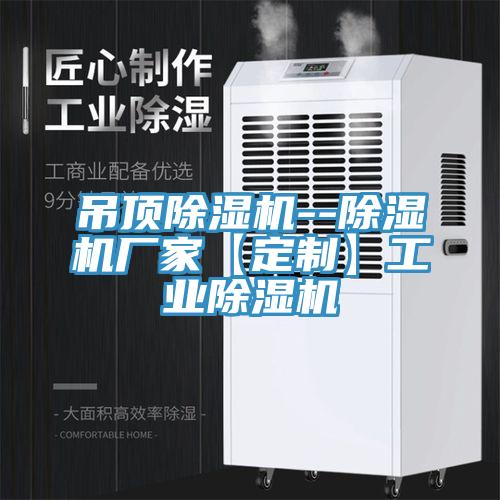 吊顶91免费网站在线观看--91免费网站在线观看厂家【定制】工业91免费网站在线观看
