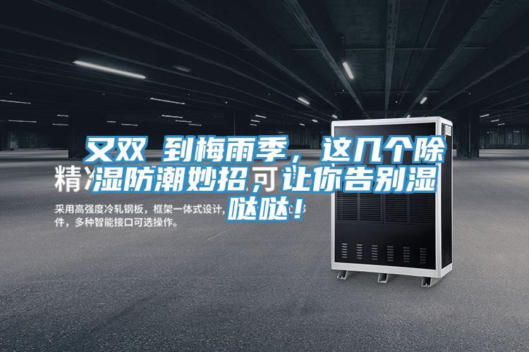 又双叒到梅雨季，这几个除湿防潮妙招，让你告别湿哒哒！