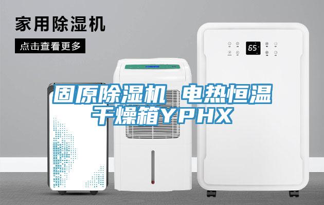固原91免费网站在线观看 电热恒温干燥箱YPHX