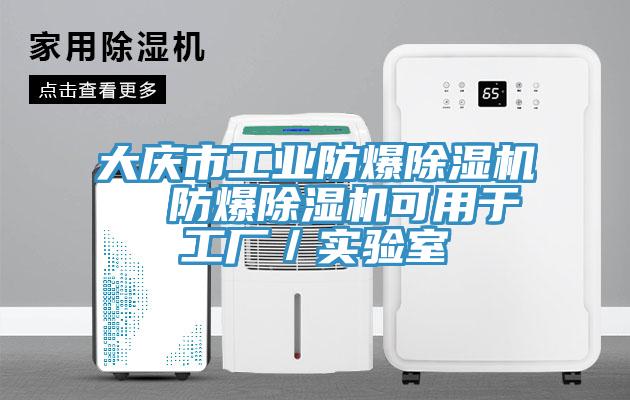 大庆市工业防爆91免费网站在线观看  防爆91免费网站在线观看可用于工厂／实验室