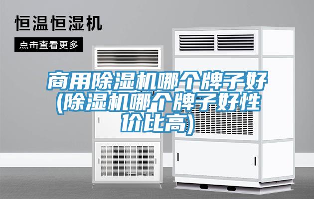 商用91免费网站在线观看哪个牌子好(91免费网站在线观看哪个牌子好性价比高)