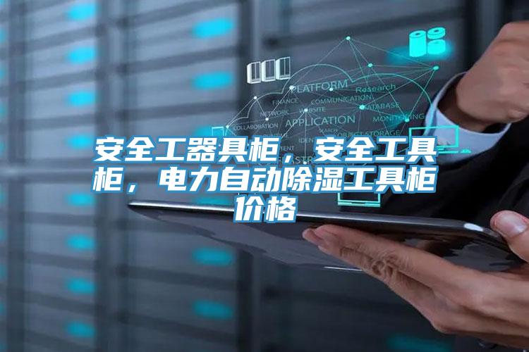 安全工器具柜，安全工具柜，电力自动除湿工具柜价格
