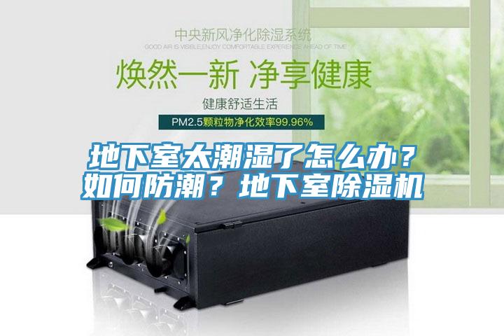 地下室太潮湿了怎么办？如何防潮？地下室91免费网站在线观看