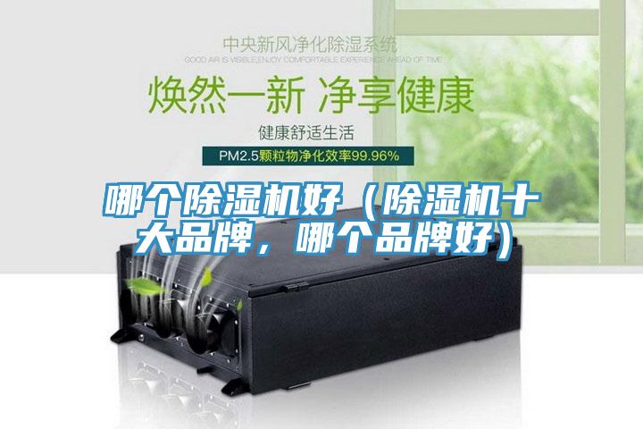 哪个91免费网站在线观看好（91免费网站在线观看十大品牌，哪个品牌好）