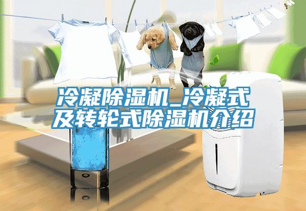 冷凝91免费网站在线观看_冷凝式及转轮式91免费网站在线观看介绍