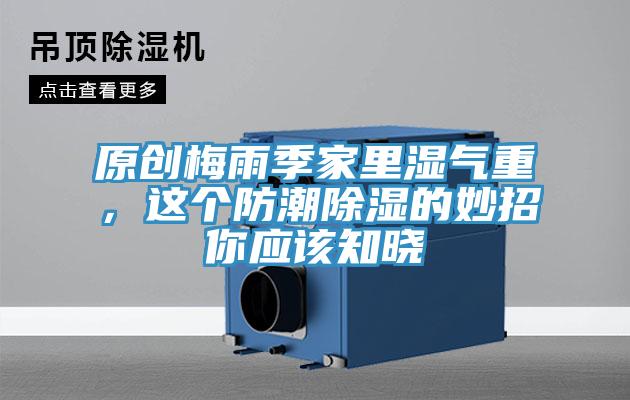 原创梅雨季家里湿气重，这个防潮除湿的妙招你应该知晓