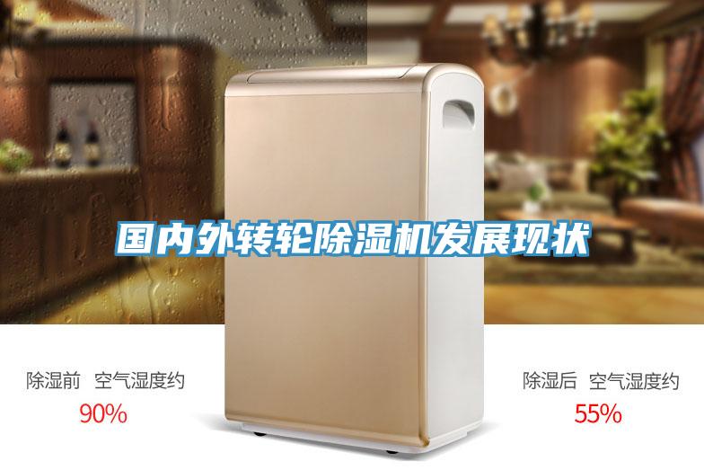 国内外转轮91免费网站在线观看发展现状