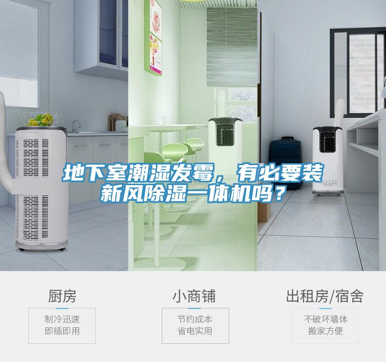 地下室潮湿发霉，有必要装新风除湿一体机吗？