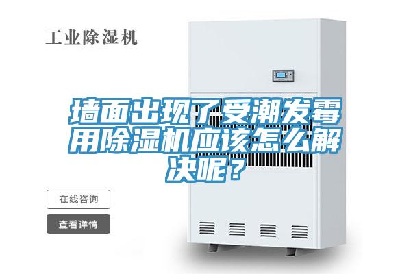 墙面出现了受潮发霉用91免费网站在线观看应该怎么解决呢？