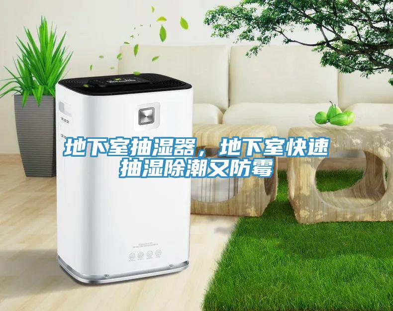 地下室抽湿器，地下室快速抽湿除潮又防霉