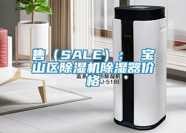 售（SALE）： 宝山区91免费网站在线观看除湿器价格