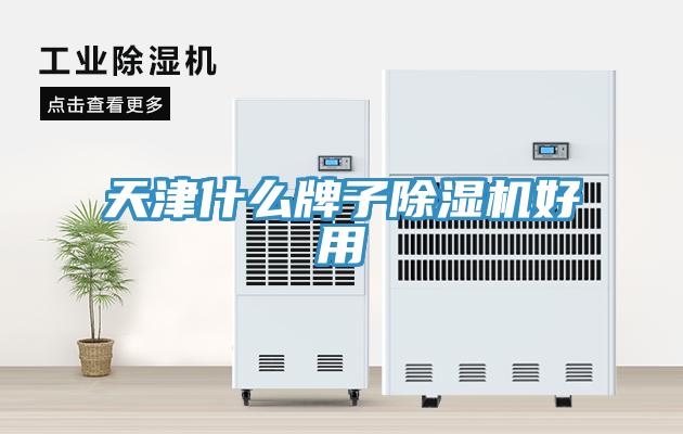 天津什么牌子91免费网站在线观看好用