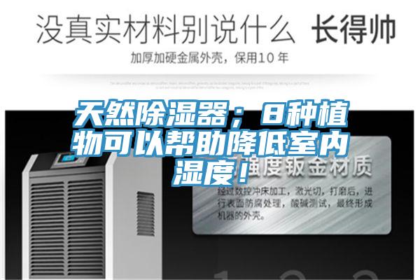 天然除湿器；8种植物可以帮助降低室内湿度！