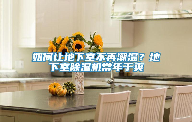 如何让地下室不再潮湿？地下室91免费网站在线观看常年干爽