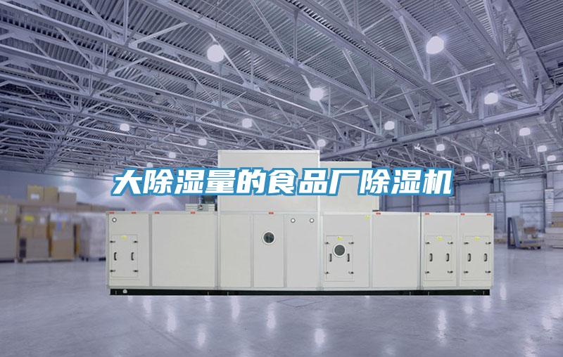 大除湿量的食品厂91免费网站在线观看