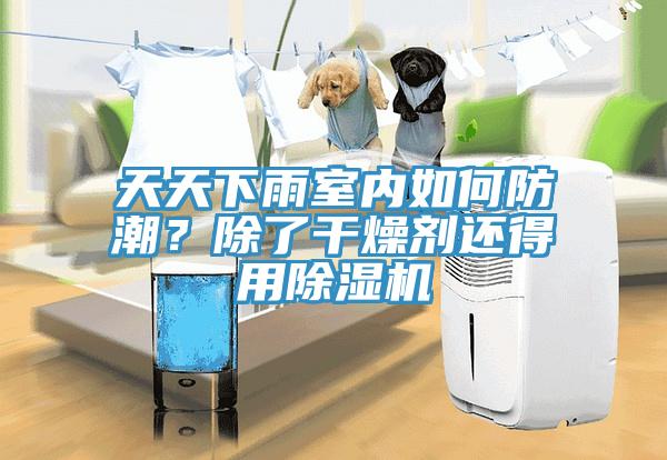 天天下雨室内如何防潮？除了干燥剂还得用91免费网站在线观看