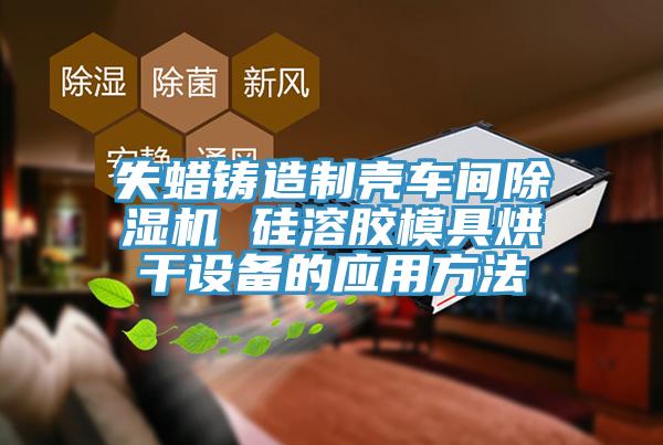失蜡铸造制壳车间91免费网站在线观看 硅溶胶模具烘干设备的应用方法