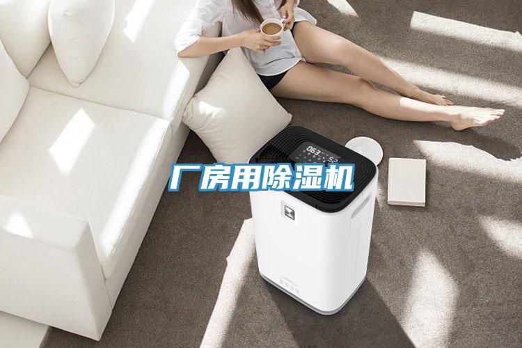厂房用91免费网站在线观看