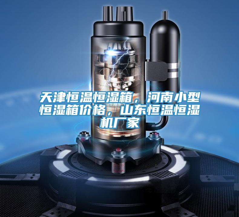 天津恒温恒湿箱，河南小型恒湿箱价格，山东恒温恒湿机厂家