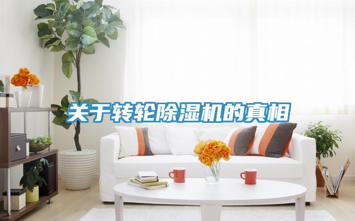 关于转轮91免费网站在线观看的真相