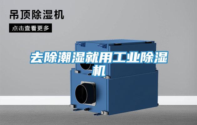去除潮湿就用工业91免费网站在线观看
