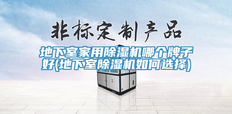 地下室家用91免费网站在线观看哪个牌子好(地下室91免费网站在线观看如何选择)