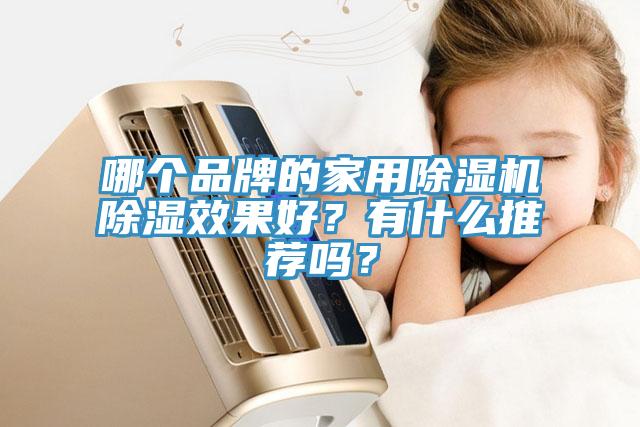 哪个品牌的家用91免费网站在线观看除湿效果好？有什么推荐吗？