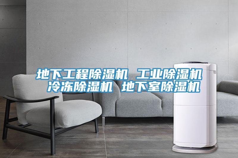 地下工程91免费网站在线观看 工业91免费网站在线观看 冷冻91免费网站在线观看 地下室91免费网站在线观看