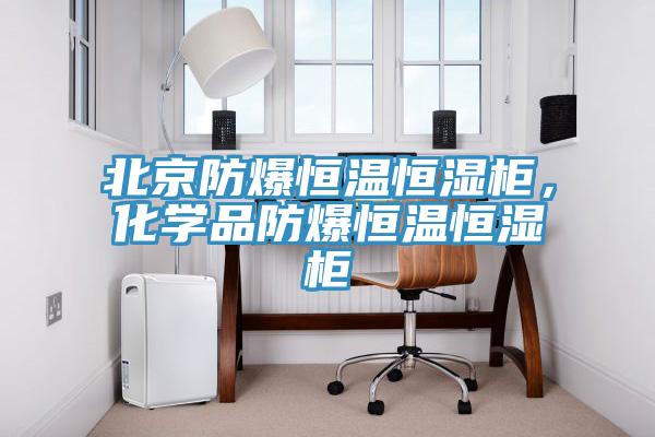 北京防爆恒温恒湿柜，化学品防爆恒温恒湿柜