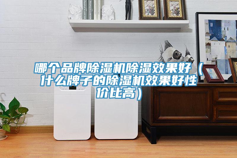 哪个品牌91免费网站在线观看除湿效果好（什么牌子的91免费网站在线观看效果好性价比高）