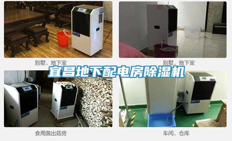 宜昌地下配电房91免费网站在线观看