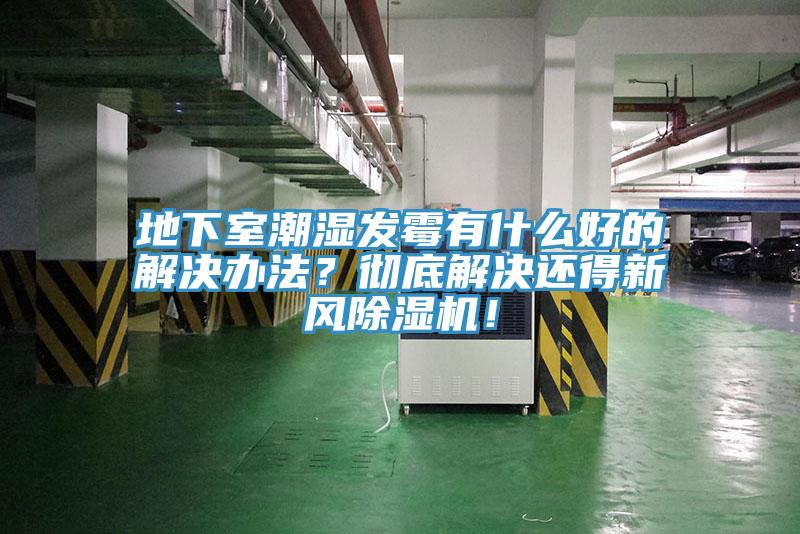 地下室潮湿发霉有什么好的解决办法？彻底解决还得新风91免费网站在线观看！
