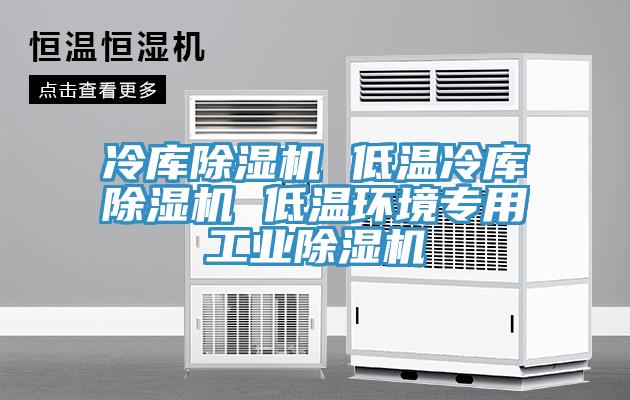 冷库91免费网站在线观看 低温冷库91免费网站在线观看 低温环境专用工业91免费网站在线观看