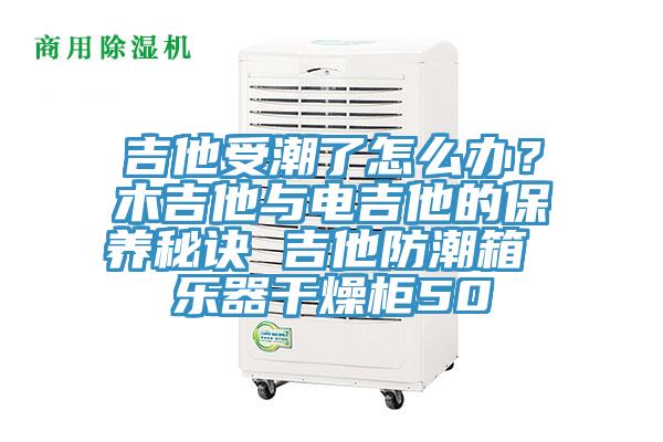 吉他受潮了怎么办？木吉他与电吉他的保养秘诀 吉他防潮箱 乐器干燥柜50
