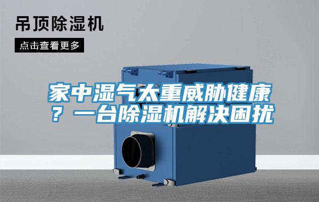 家中湿气太重威胁健康？一台91免费网站在线观看解决困扰