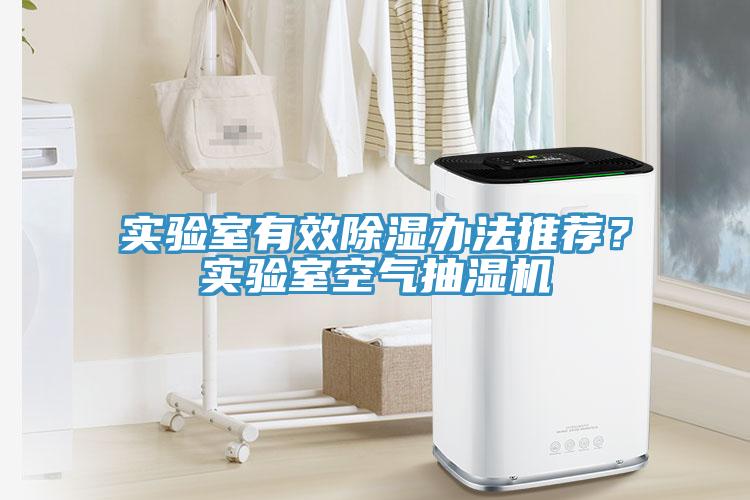 实验室有效除湿办法推荐？实验室空气抽湿机