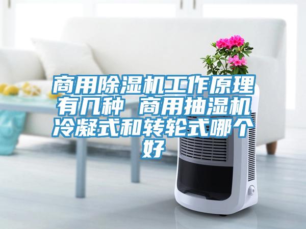 商用91免费网站在线观看工作原理有几种 商用抽湿机冷凝式和转轮式哪个好