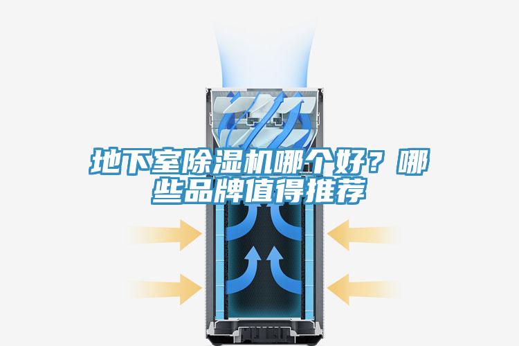 地下室91免费网站在线观看哪个好？哪些品牌值得推荐