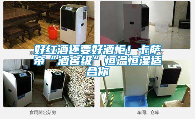 好红酒还要好酒柜！卡萨帝“酒窖级”恒温恒湿适合你