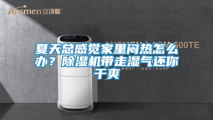 夏天总感觉家里闷热怎么办？91免费网站在线观看带走湿气还你干爽