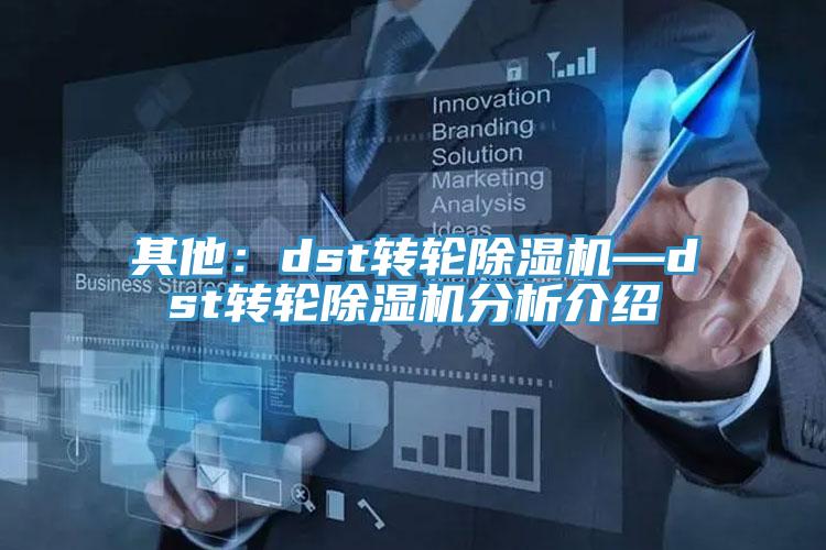 其他：dst转轮91免费网站在线观看—dst转轮91免费网站在线观看分析介绍